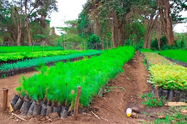 kajiado climate action project